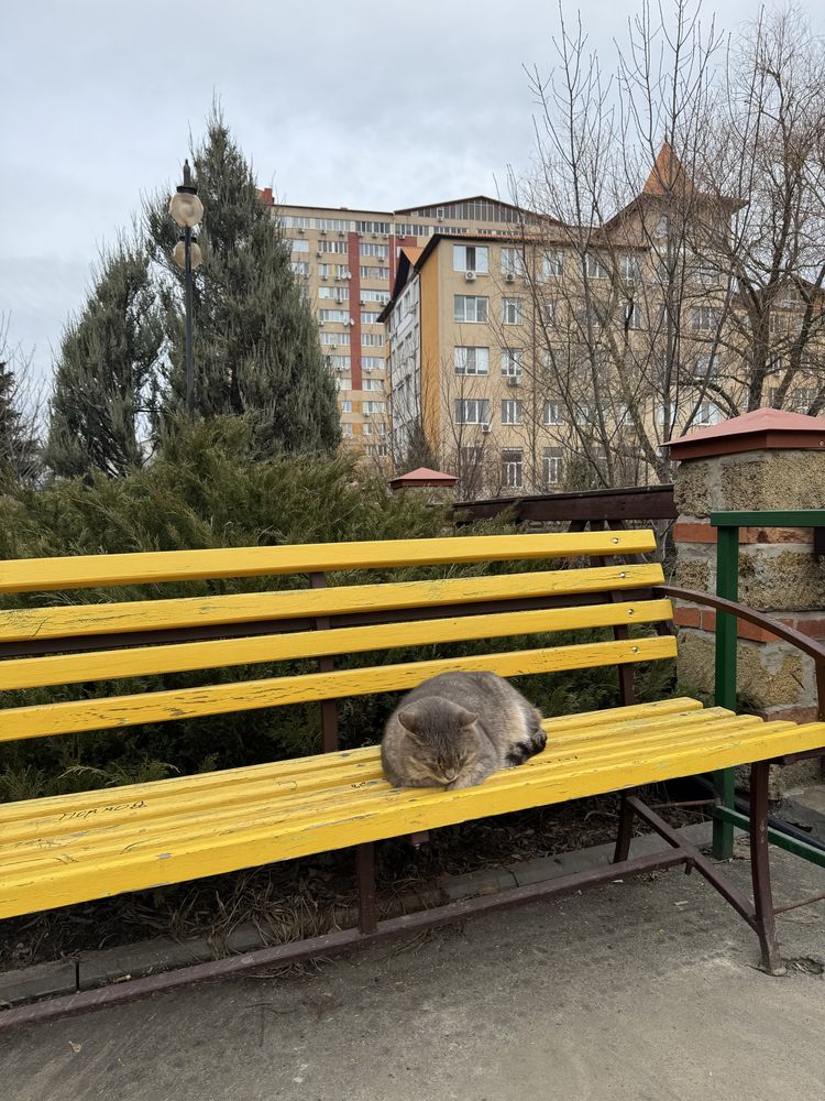‼️Продаж комерційного‼️ приміщення в Харкові.‼️Ексклюзив‼️