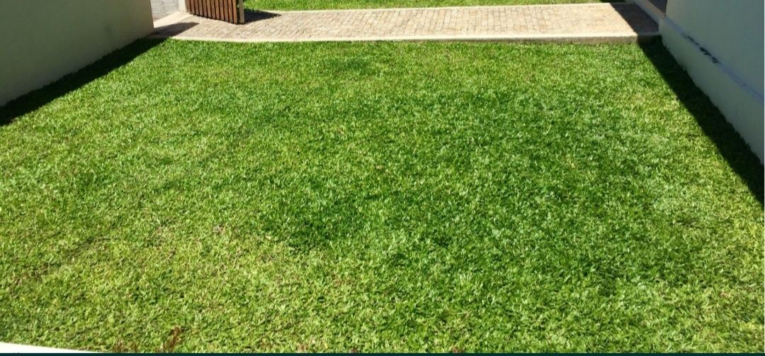 Limpeza e jardins