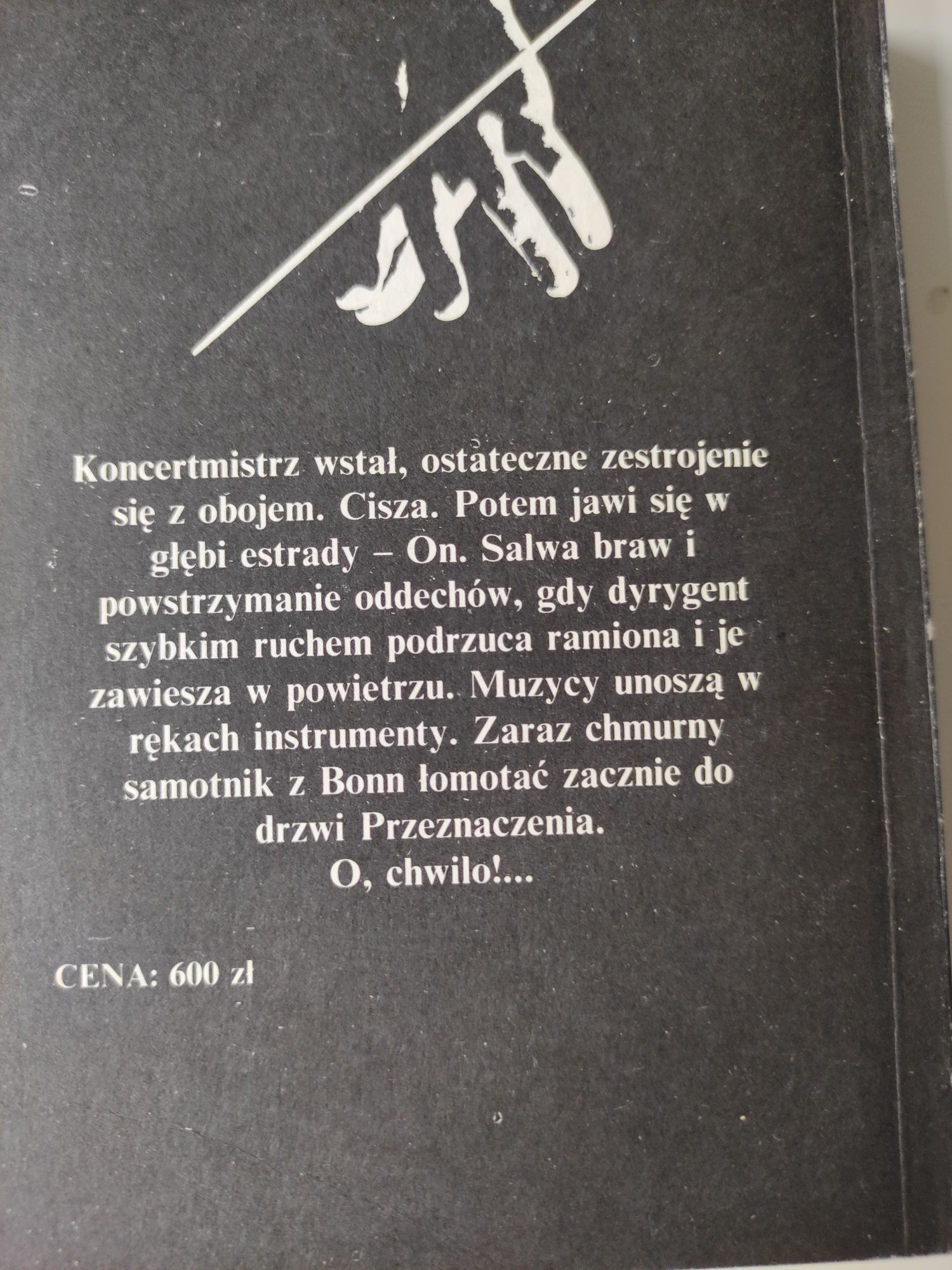 Diabły i anioły J. Waldorff książka o muzykach, dyrygentach