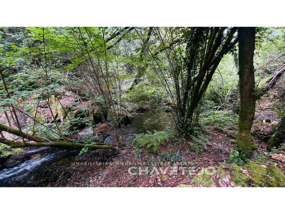 Ruina de Azenha à beira rio, suscetível para obras de conservação c...