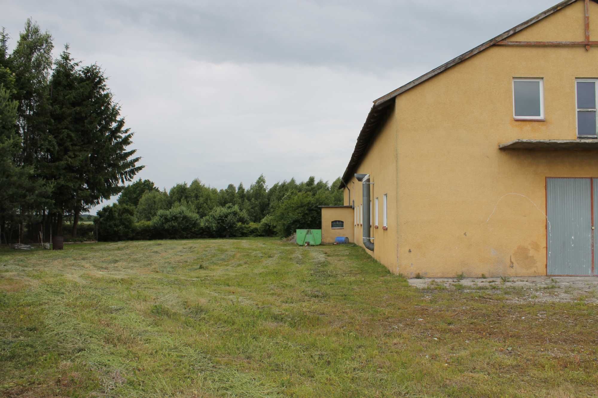 Sprzedam Hale 500m2 na działce 1,8ha