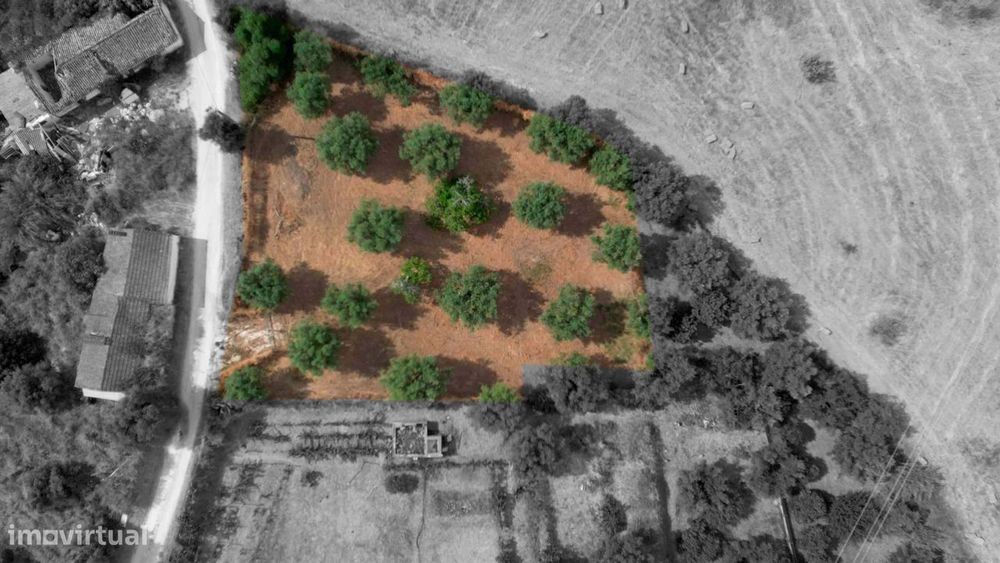 Terreno Para Construção  Venda em Santarém (Marvila), Santa Iria da Ri