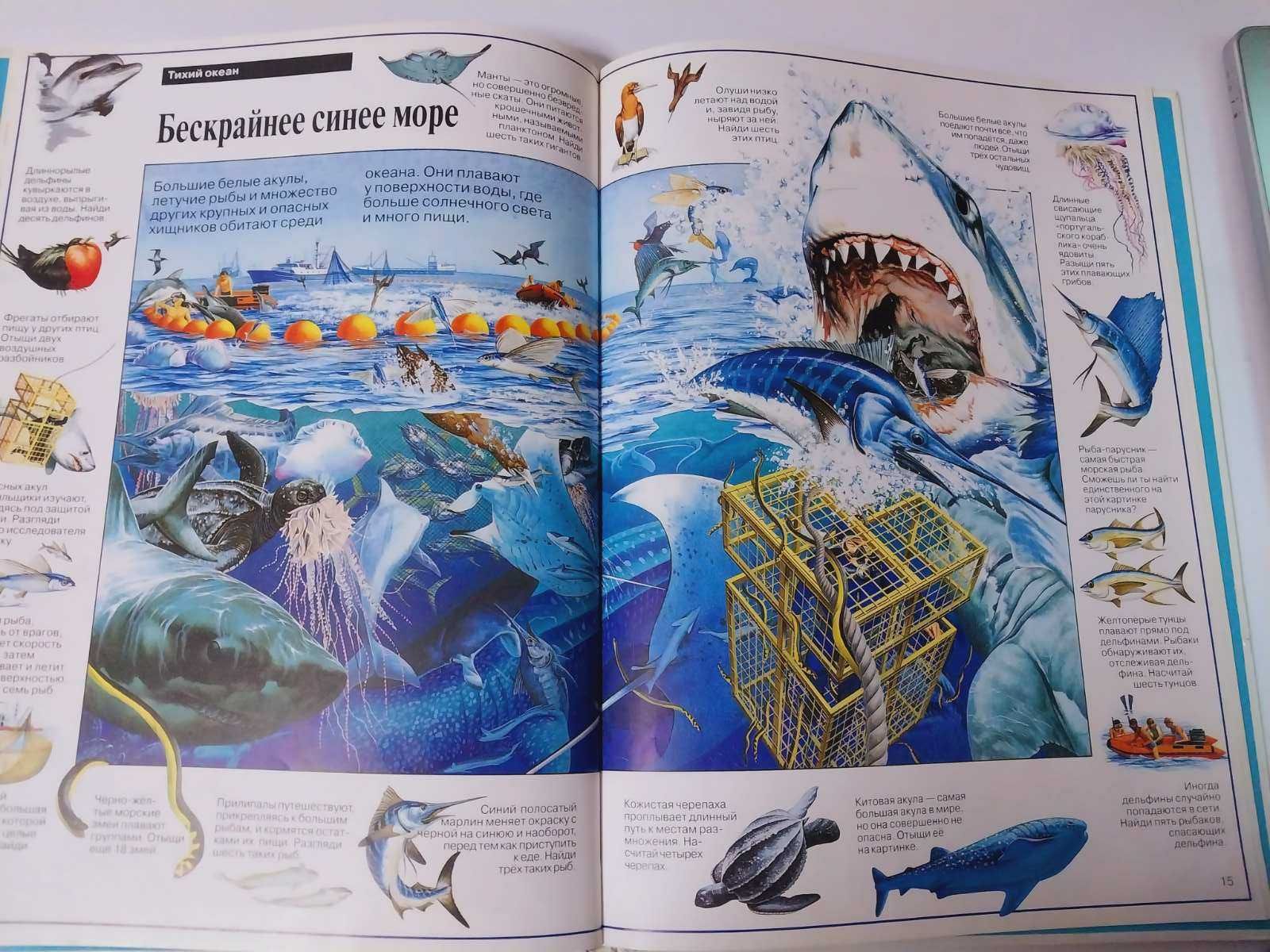 Детская книга Загадки подводного мира