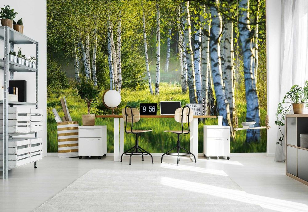 Tapeta, fototapeta Las brzozowy