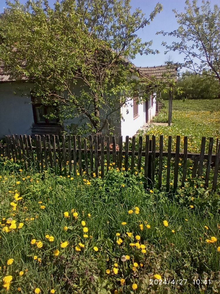 Продається земельна ділянка (можна під встановлення сонячних батарей)