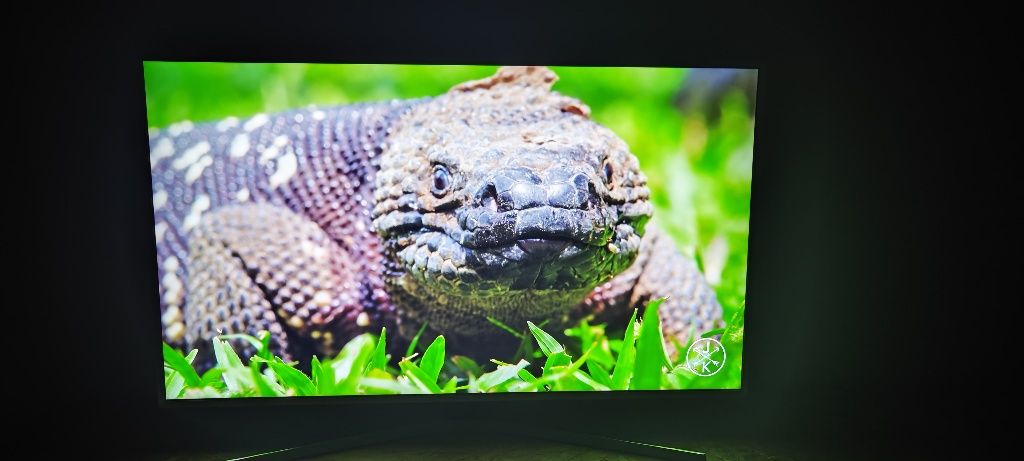 Telewizor LED 49 cali Samsung 4K HDR Smart