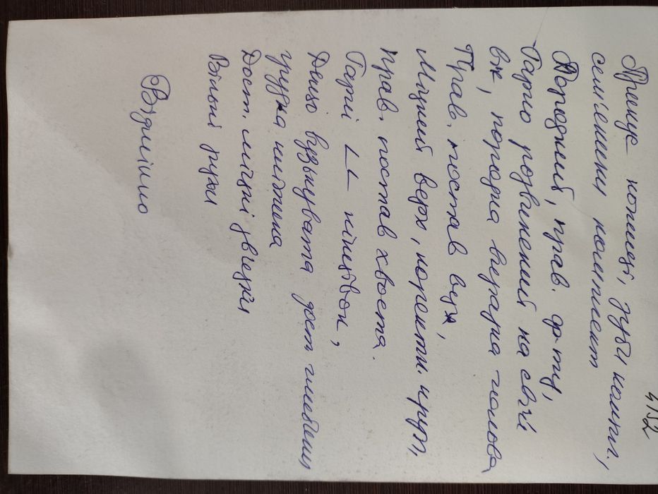 В'язка Німецька вівчарка