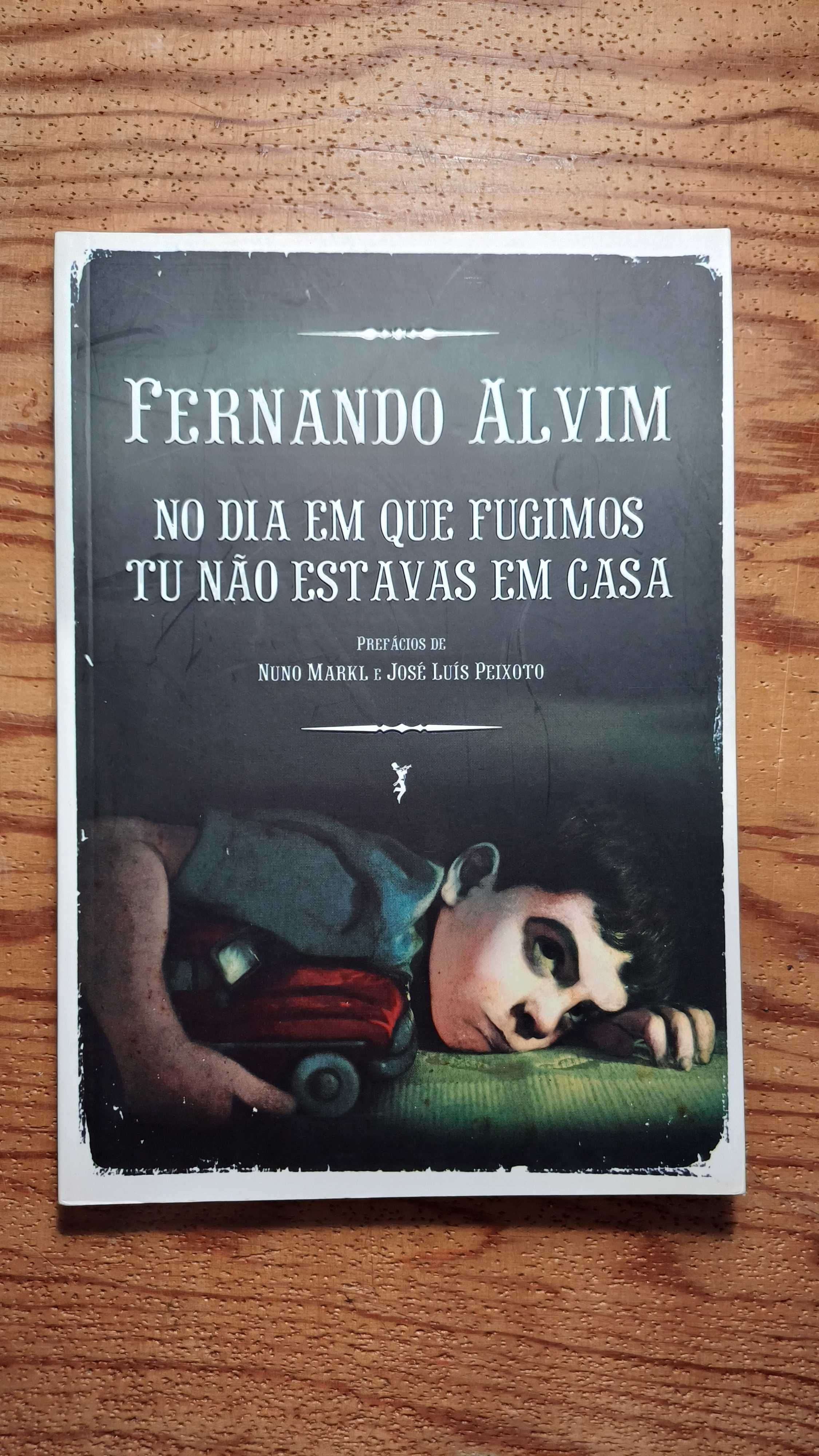 Livro No dia em que fugimos tu não estavas em casa