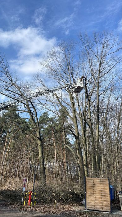 Wycinka drzew trudno-dostępnych, prace na wysokości, wyburzanie