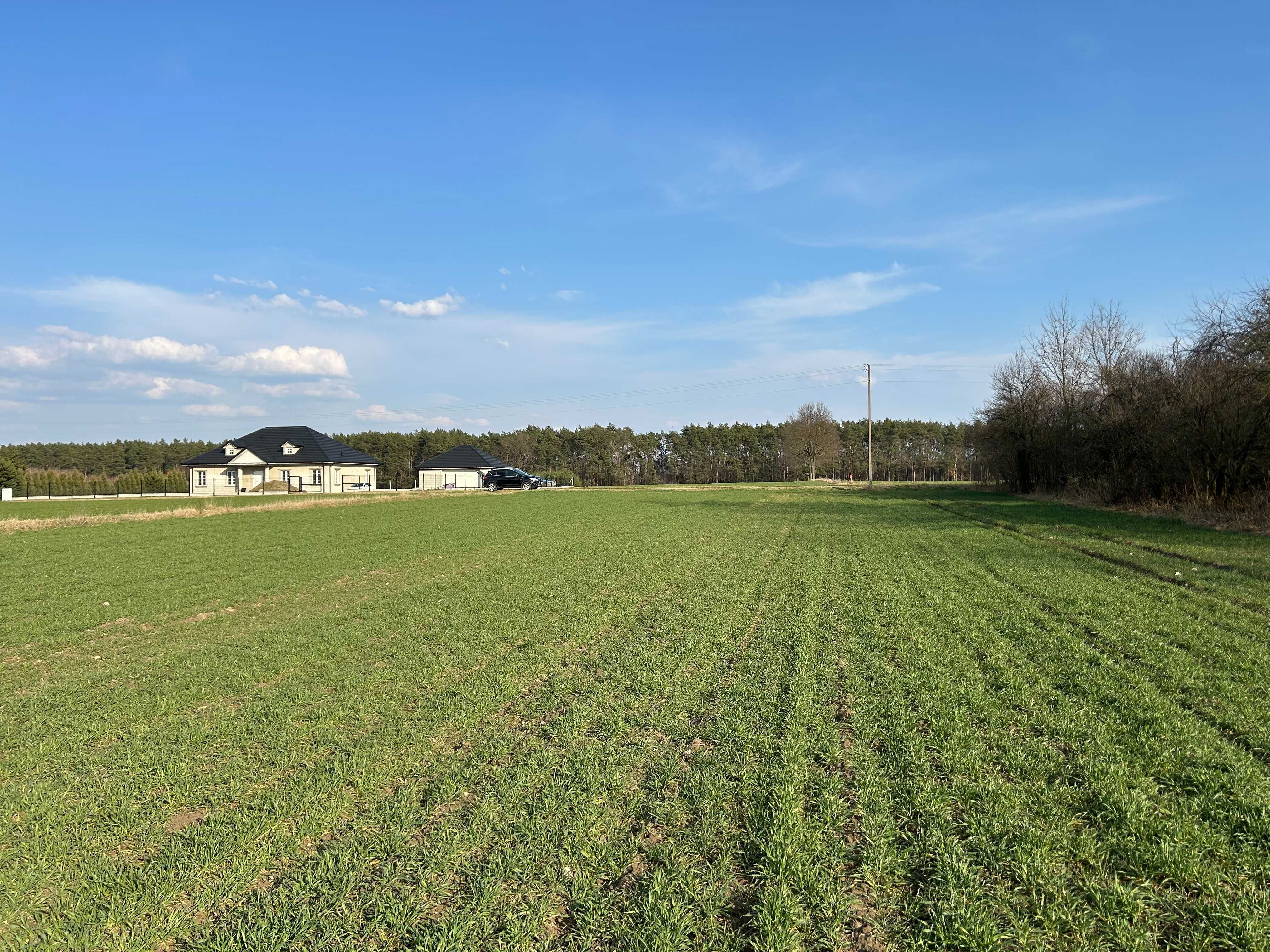 Działka budowlana pod Łukowem 1500 m2, media i droga asfaltowa