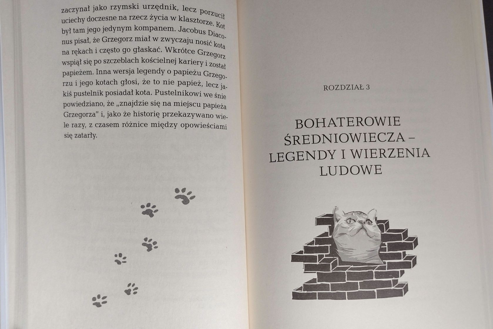 Historia kotów Madeline Swan Wydawnictwo Znak