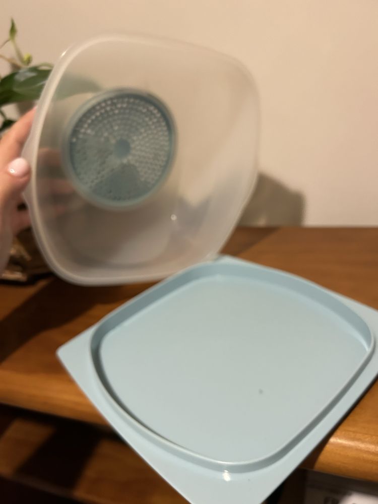 Queijeira Tupperware