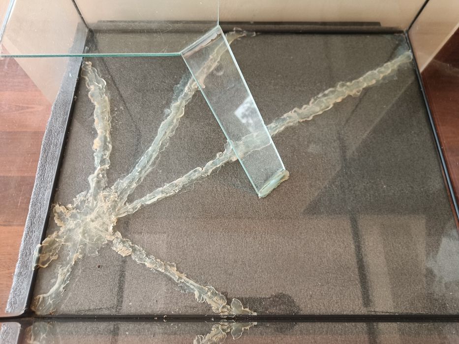 Aquário tartarugueira