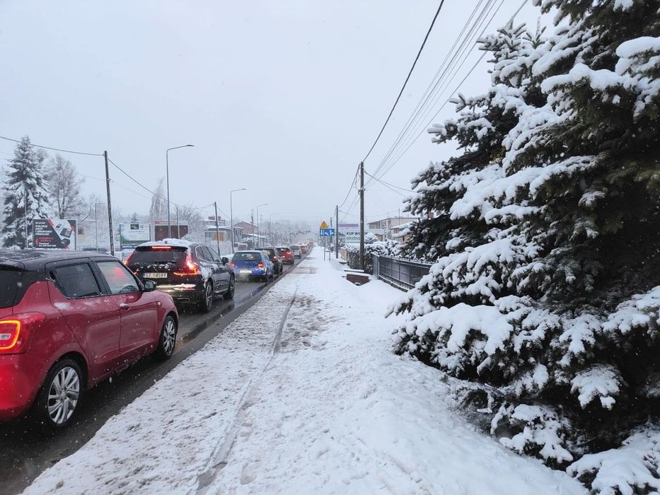 Dom lokal usługowy Rybnik trasa RybnikGliwice biura biznes działalność
