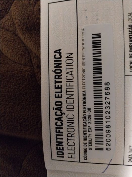 Gatinho Scottish Fold