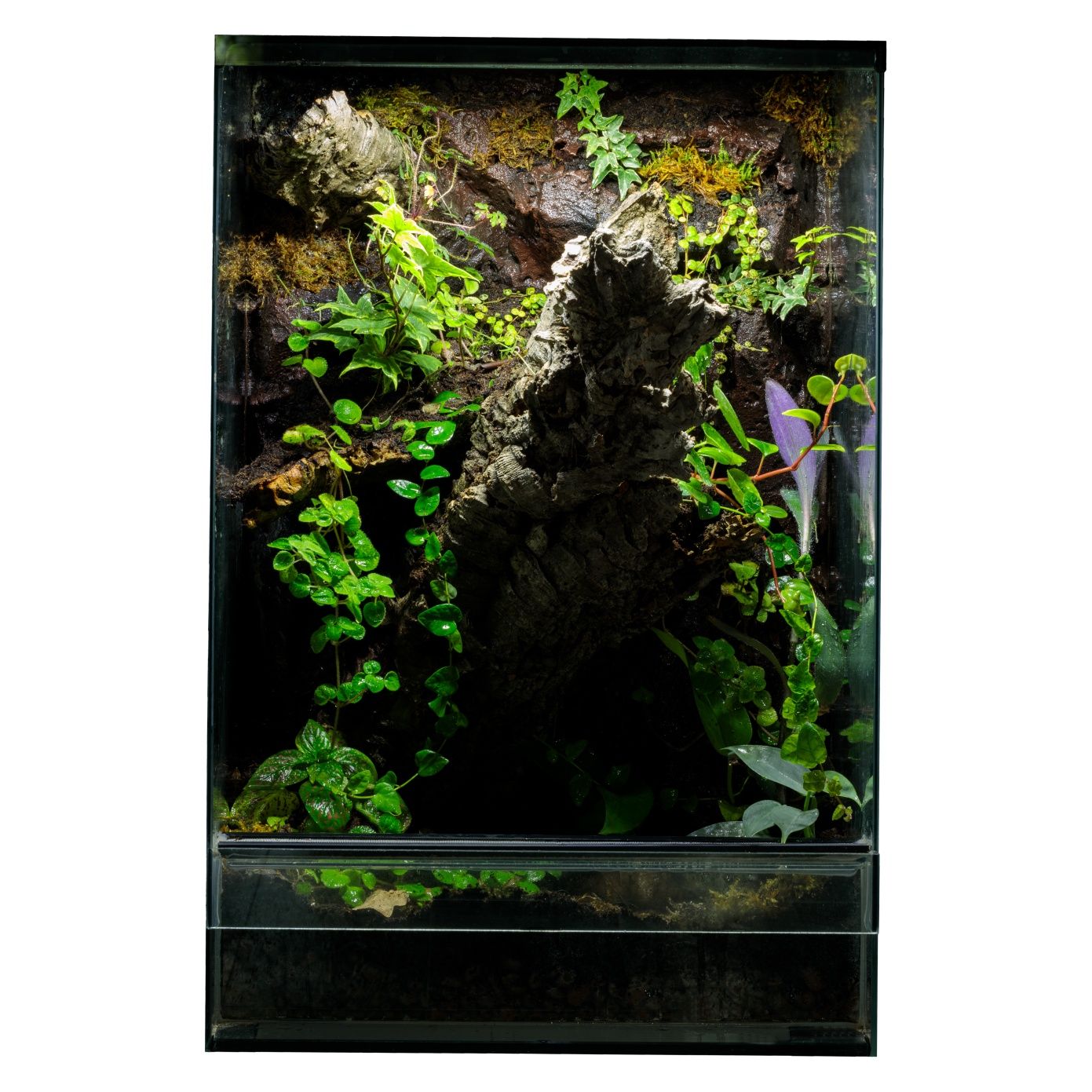 Terrarium paludarium 40x40x60