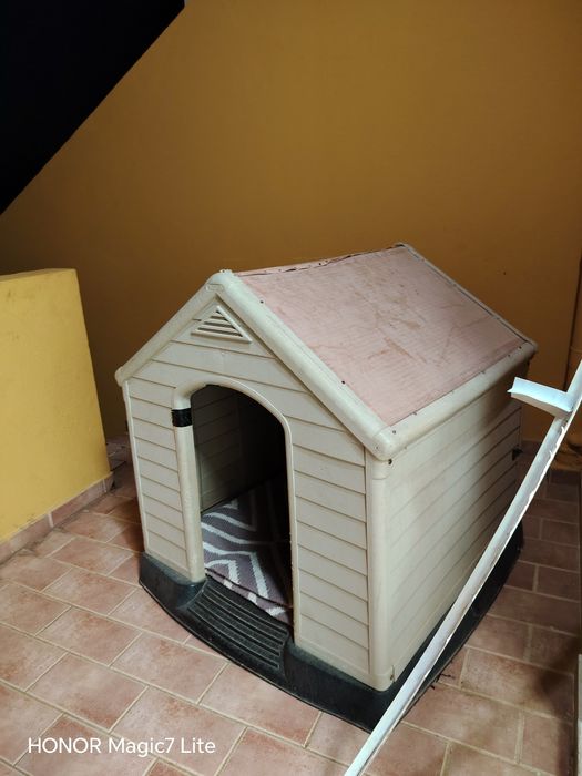 Casota grande para cão