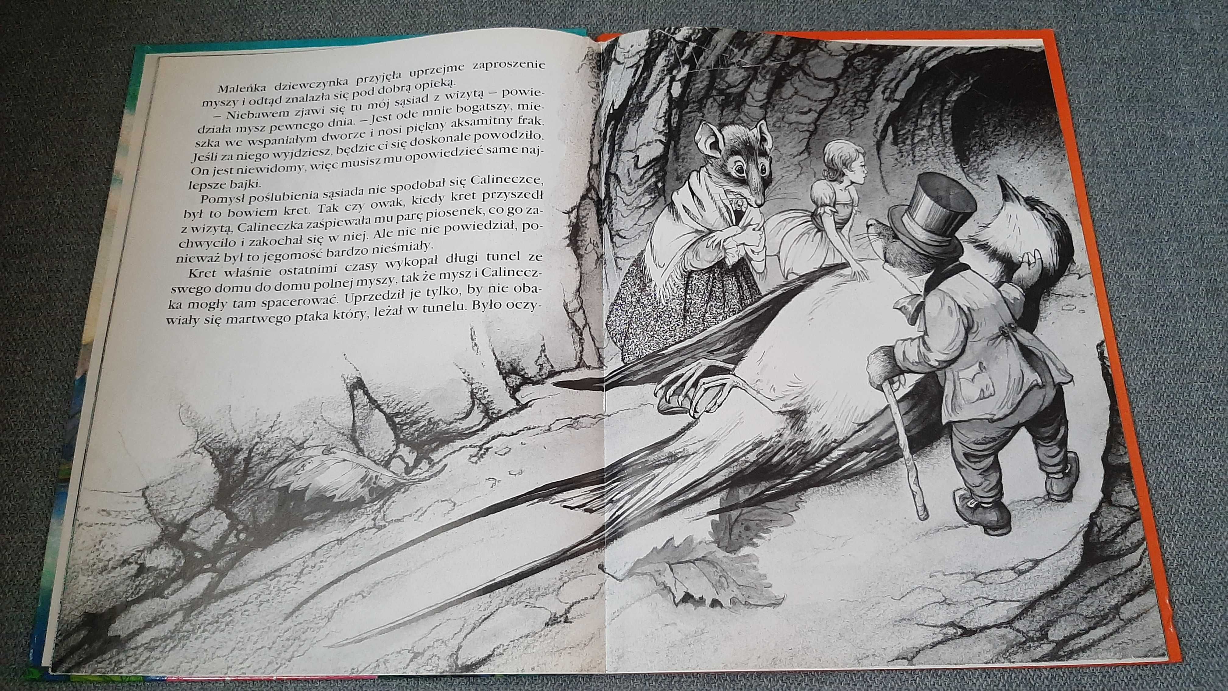 John Patience Calineczka Słowik H Ch Andersen Baśnie piękne ilustracje