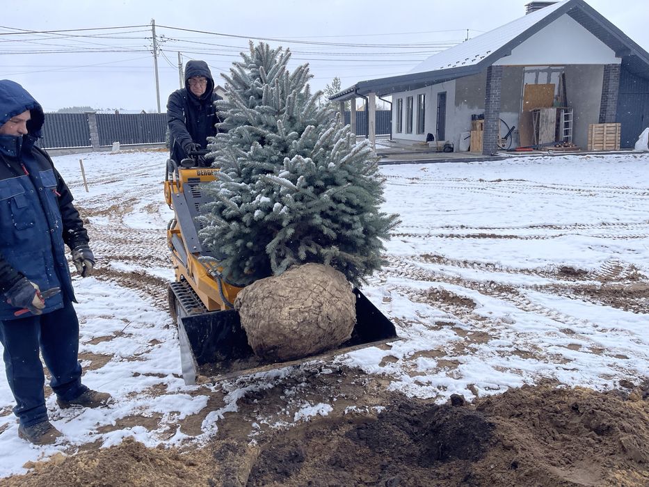 Оренда міні навантажувача та траншеє копача