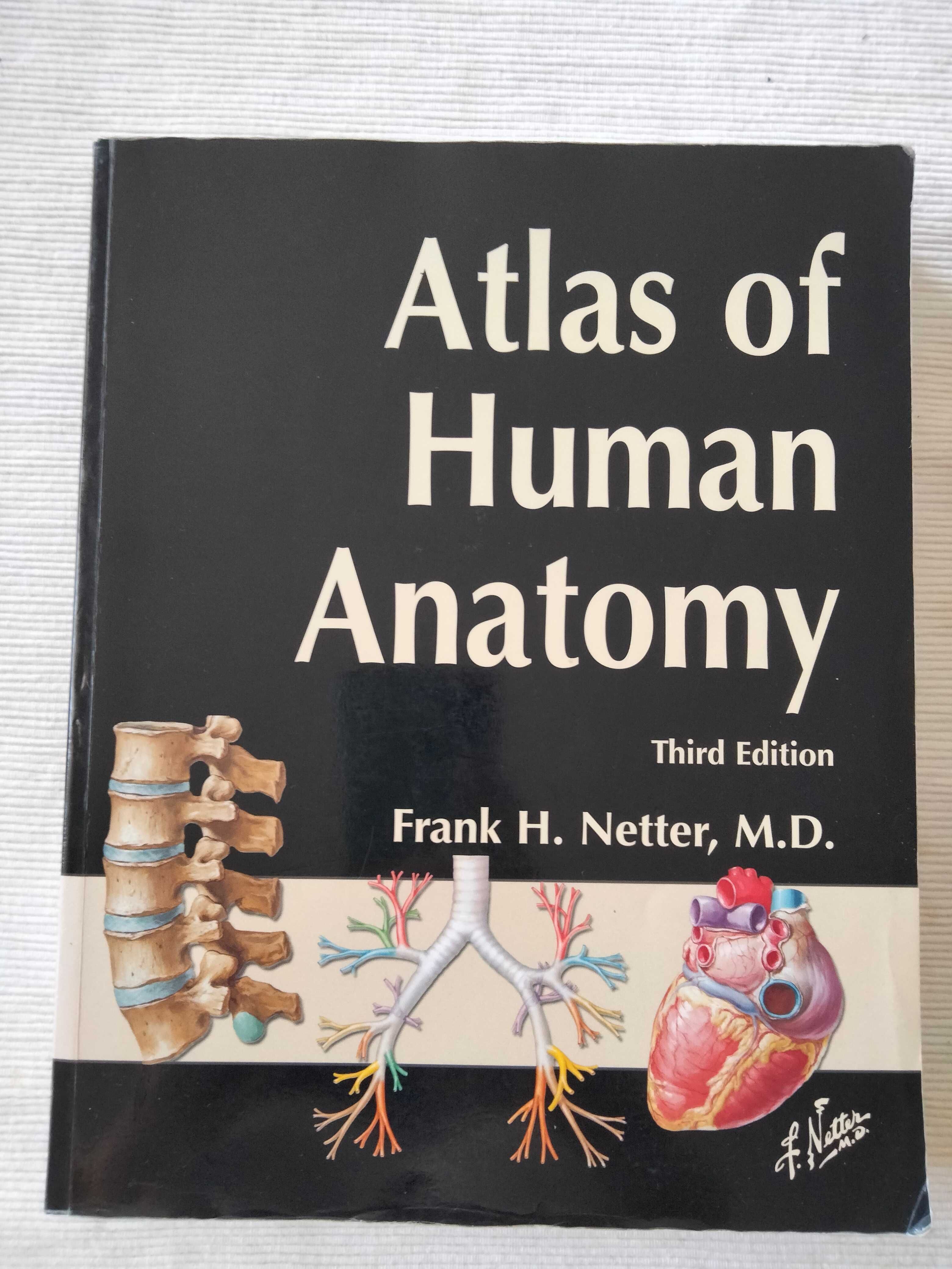 Medicina Atlas PF Human Anatomy             
 Livro Medicina