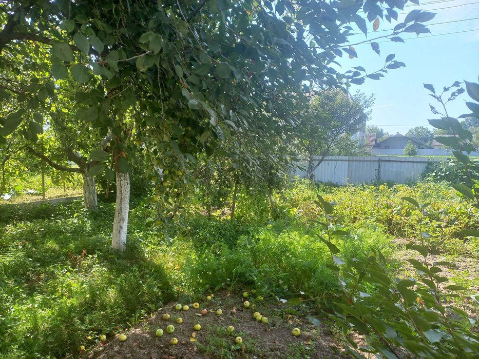 Продаж 2 кім квартири в с. Копанки 52 м2