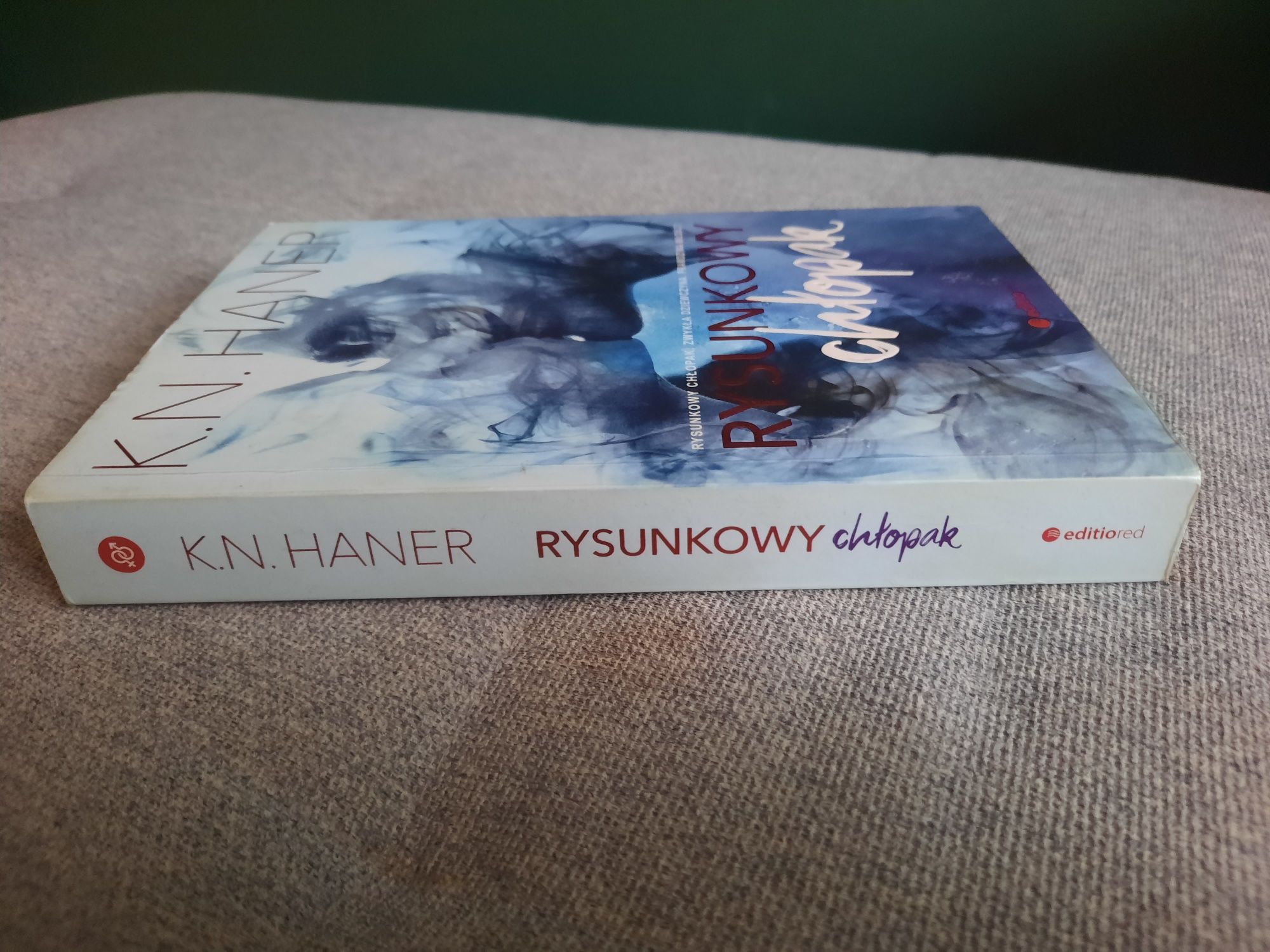 Książka "Rysunkowy chłopak" K.N. Haner