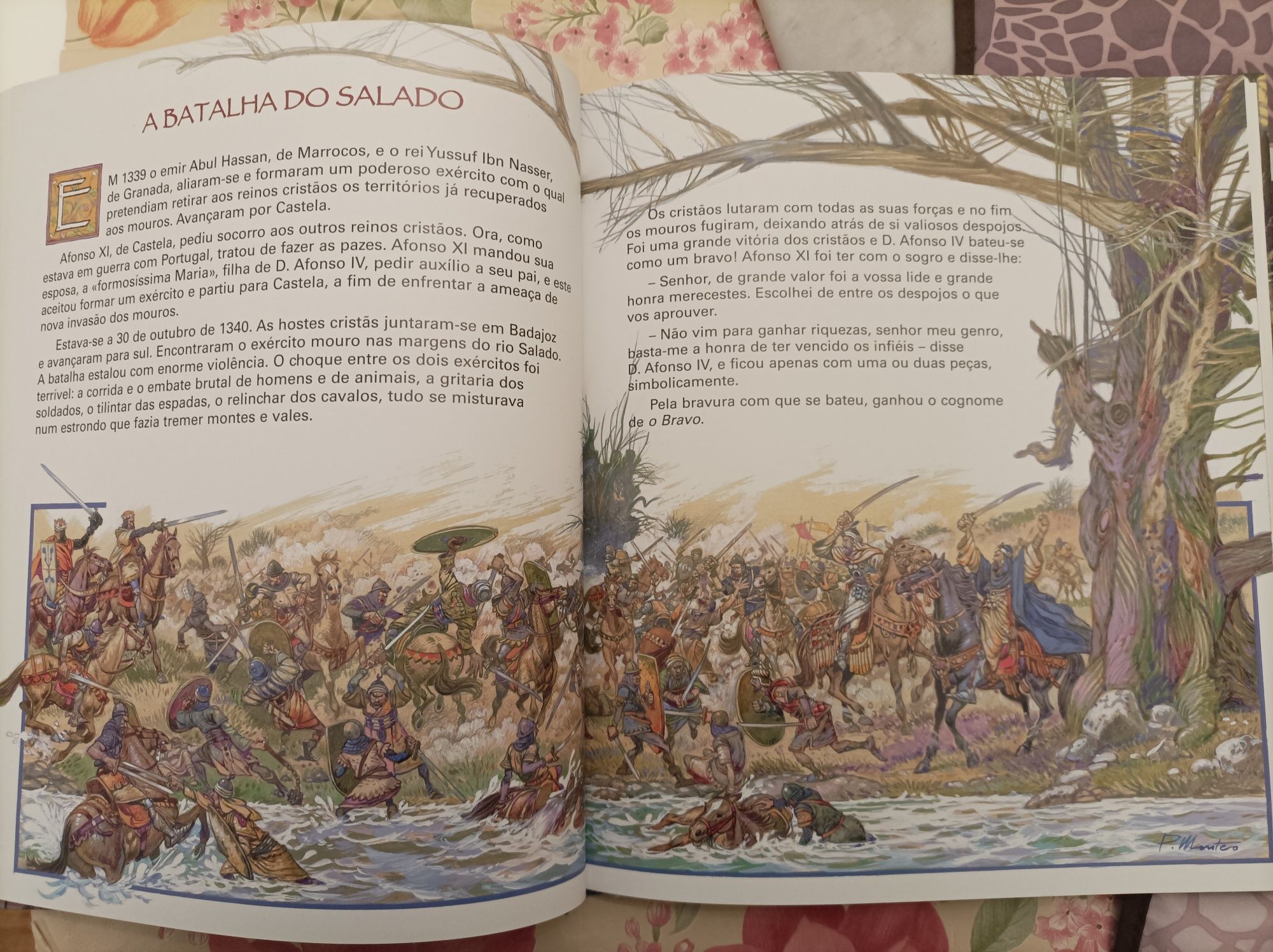 Livro ' História de Portugal , de Viriato e os Lusíadas a Camões '