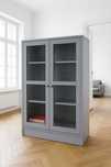 Witryna Ikea HAVSTA