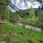 Stryszawa - 2 działki w cenie 1! Działka budowlana + gratis (318 m²)