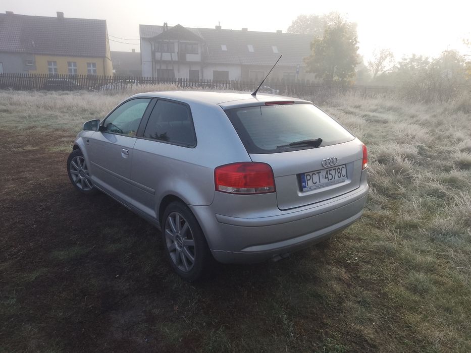 Audi A3 2.0 tdi,duży grill,Ali 17