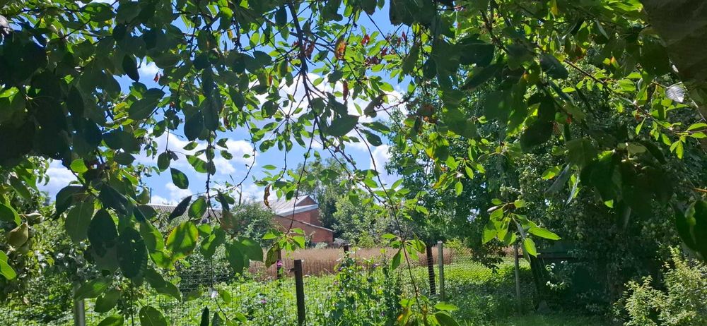 (3) Продам будинок на Бучмах у гарному місці 4432