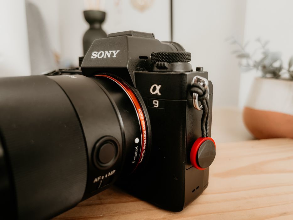 Sony A9 + 50 1.4 + Extras