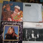 Disco em vinil pequenos  cada um dez euros