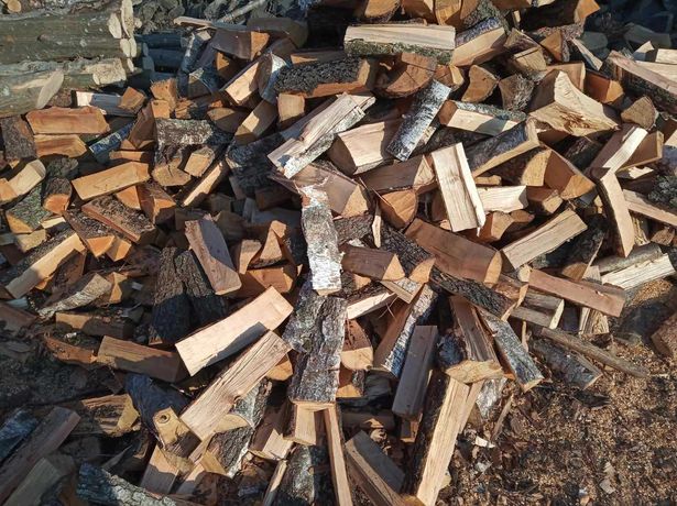 Продам дрова породи дуб, граб, вільха, береза