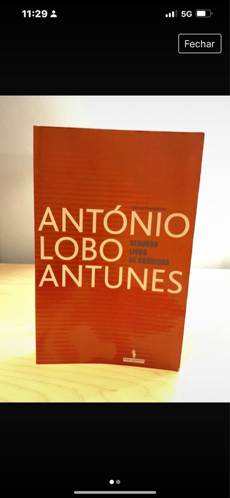 Segundo livro de cronicas de Antonio Lobo Antines