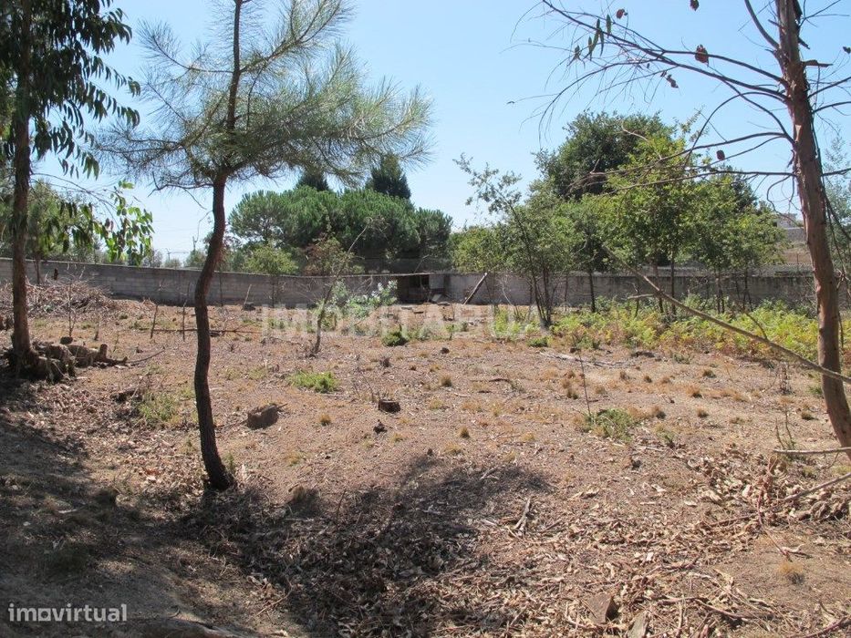 Terreno para construção em Castelejo