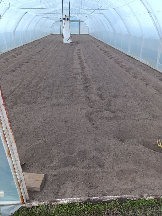 Glebogryzarka na wynajem