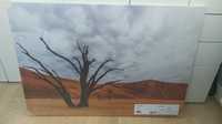 Ikea Pjatteryd Kanwa Obraz drzewo na pustyni 70 x 100