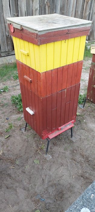 Ul korpusowy z ramkami nie pszczoły