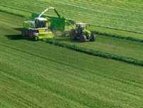 DSV COUNTRY 2014 trawy wieloletnie na stanowiska suche