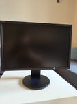 Monitor NEC MultiSync EA223WM 22" DVI VGA DP Pivot klasa A