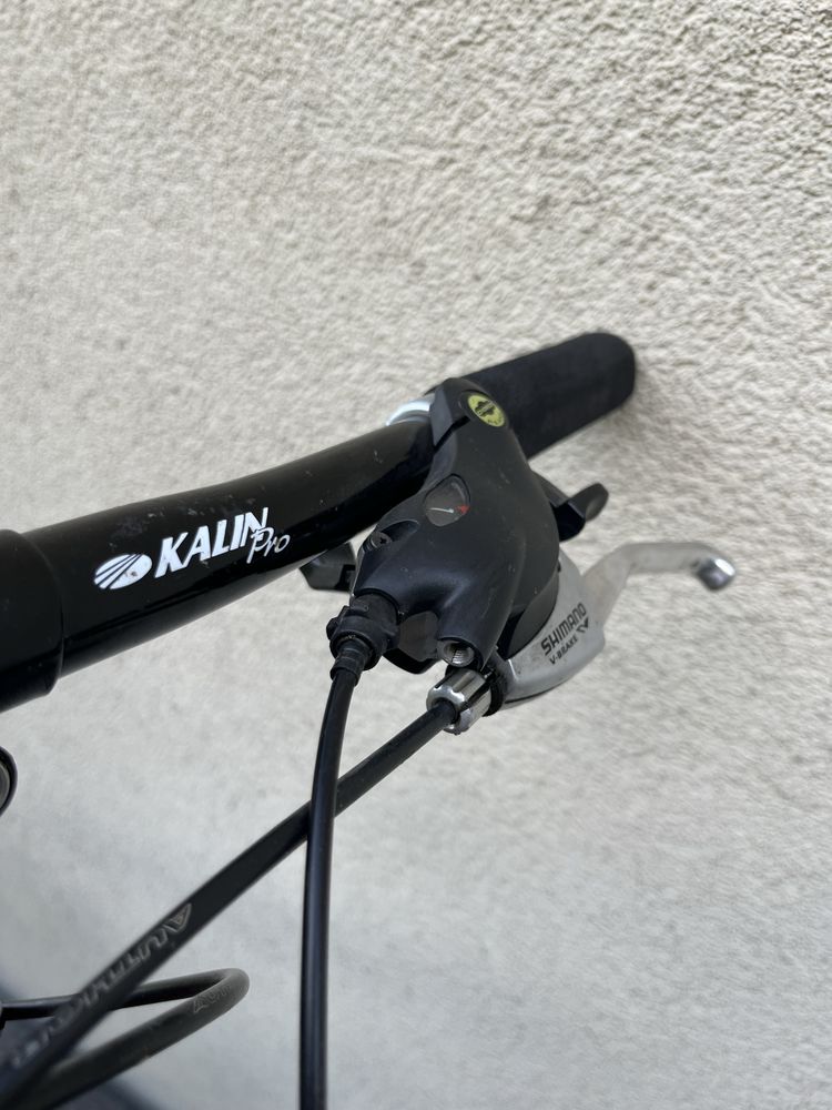 Rower Author Profile SX 17,5 cala