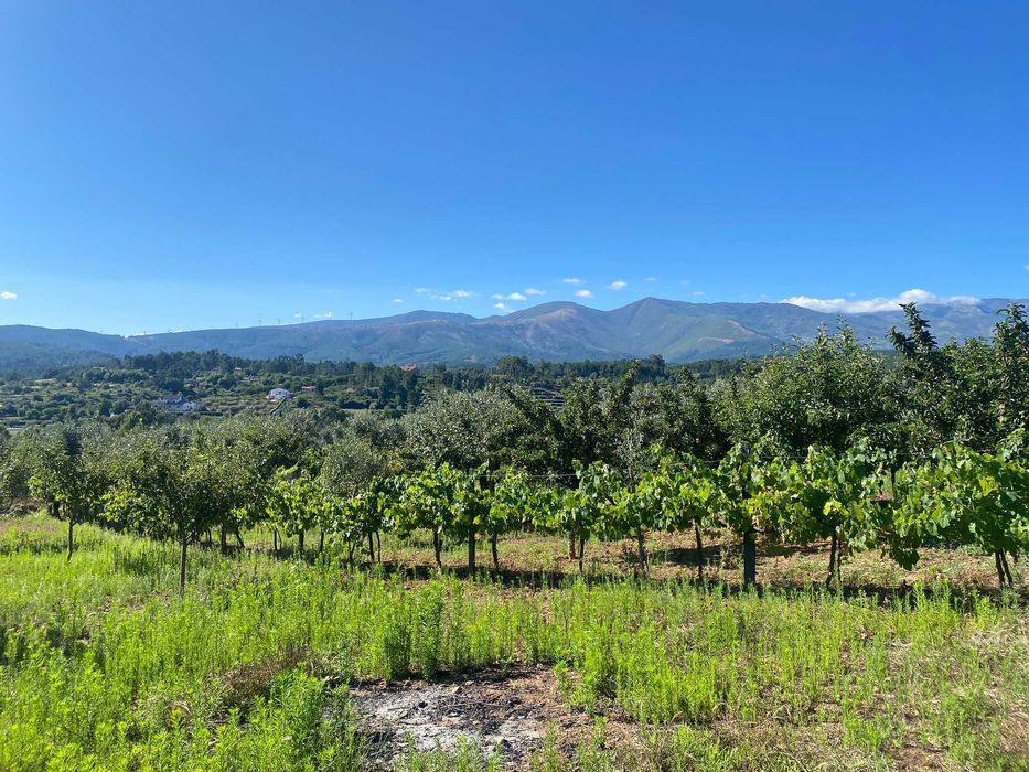 Terreno na Vila do Paul próximo das praias fluvias