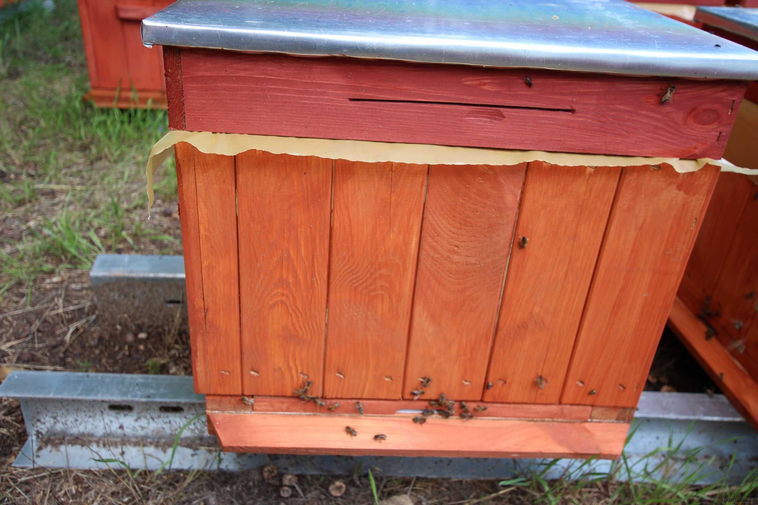 pszczoły  nowe ule przezimowane miód pasieka ul . pszczelarz węza