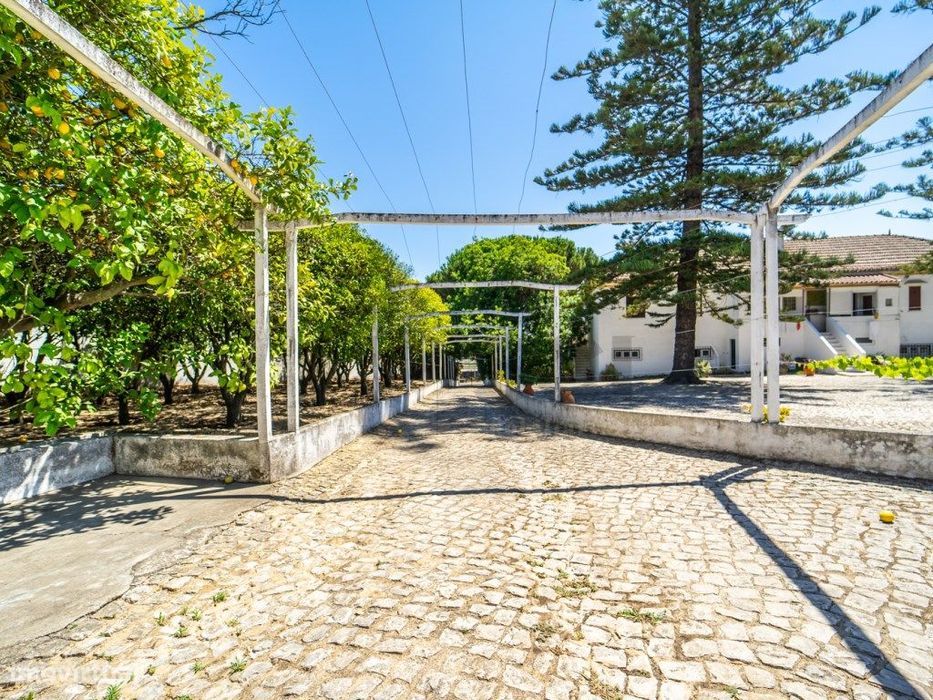 Quinta T4+2 Centro da Sobreda Almada com lote de 9750 m2