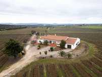 Descubra o seu Refúgio dos Sonhos no Alentejo!