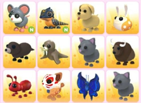 Пети адопт ми в гарному стані