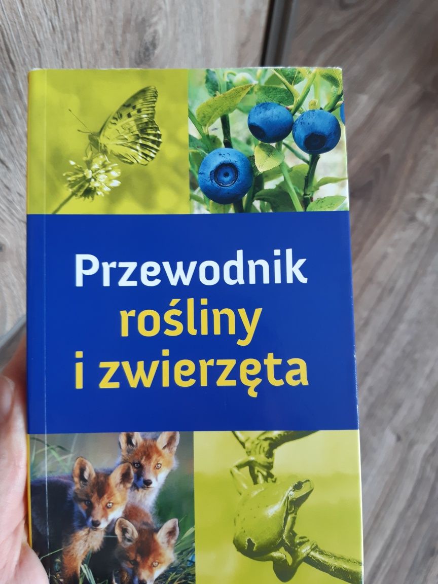 Przewodnik rośliny i zwierzęta