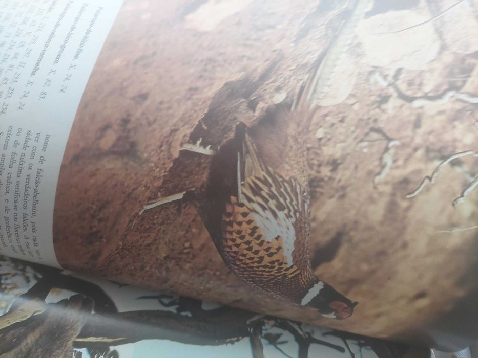 Fauna- Edições Alfa- coleção completa, encadernação de luxo