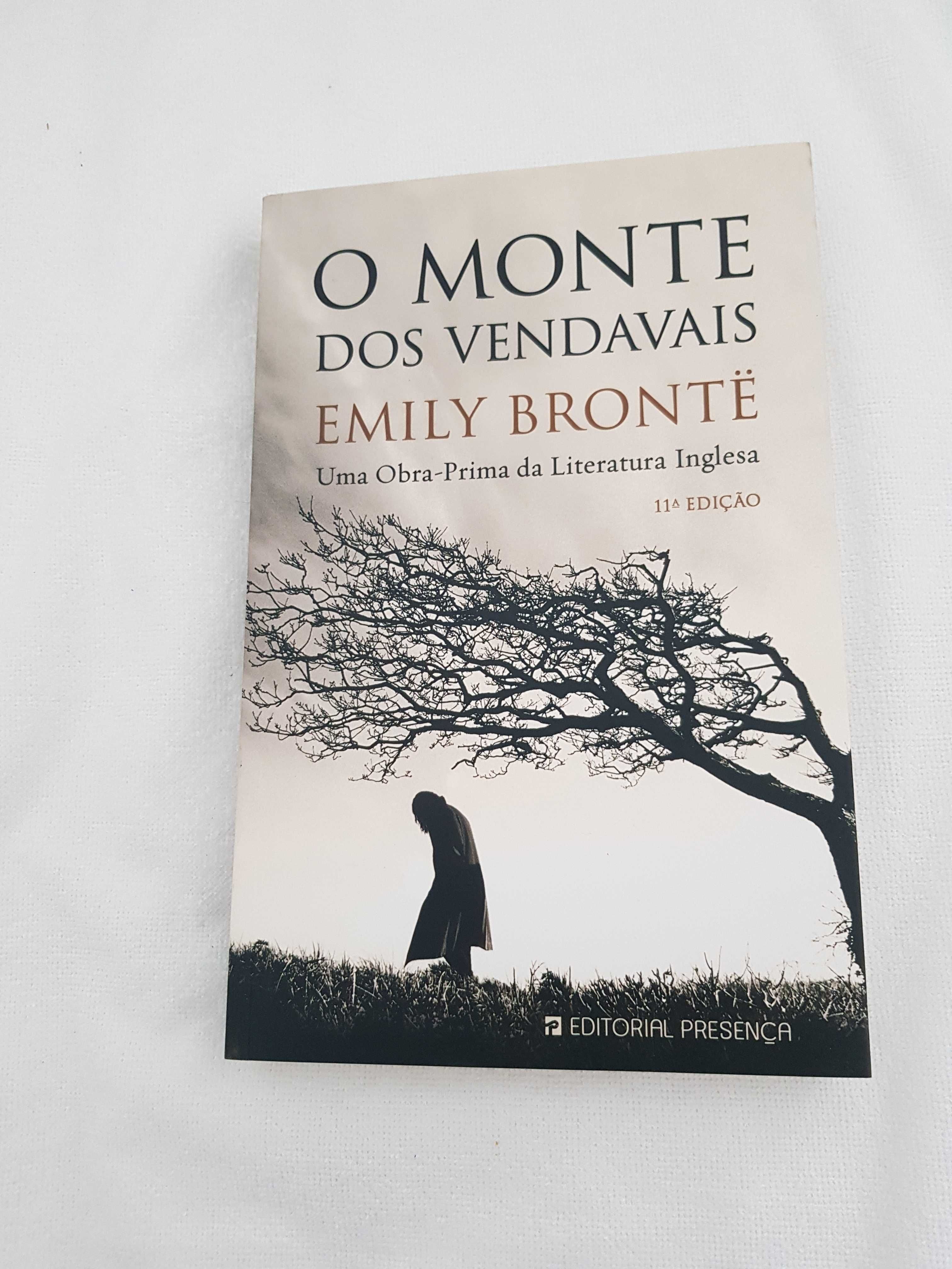 Livros Clássicos O monte dos vendavais